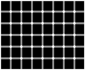 Black dots to count